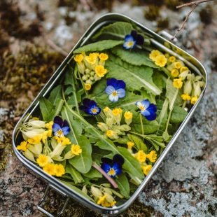 maria-ilves-YElzxQ_VY7Y-unsplash