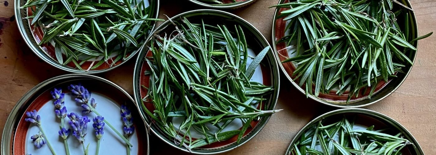 rebekah-vos-xHEcHtzmReI-unsplash